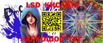 jwh Новозыбков