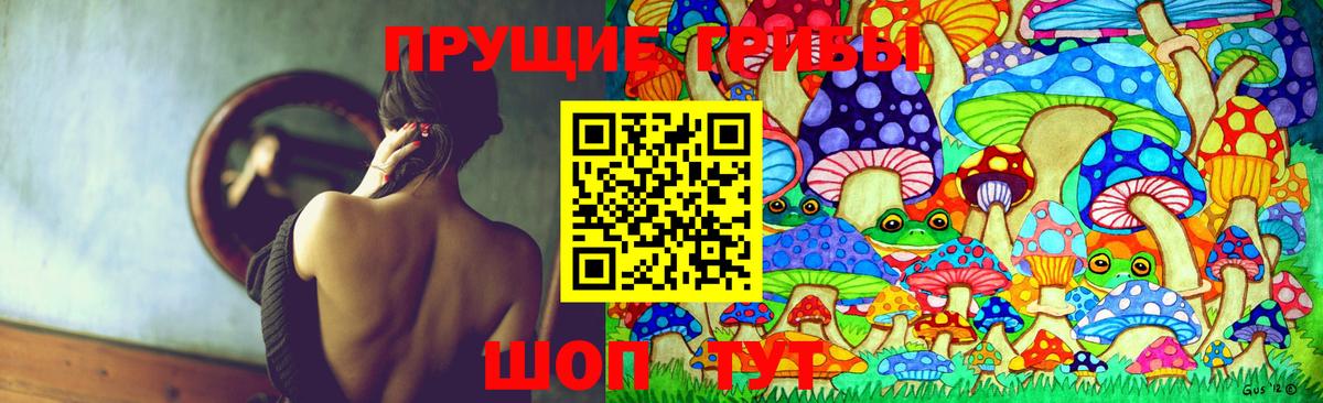Галлюциногенные грибы прущие грибы Ставрополь