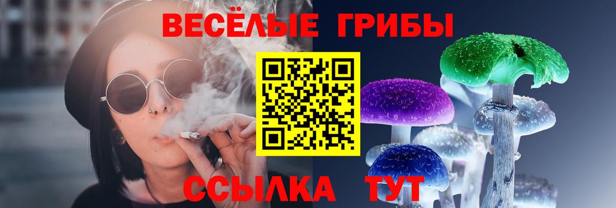 Галлюциногенные грибы Cubensis  Галлюциногенные грибы прущие грибы  Ставрополь  Вход с VPN 